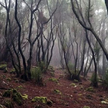 La Casita De Descanso - Das Haeuschen Der Ruhe - La Luz - La Orotava Εξωτερικό φωτογραφία